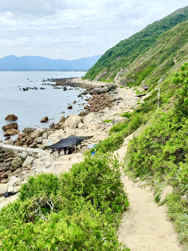 Explore the Wild Beauty of Shenzhen’s Coastline! 🌊  