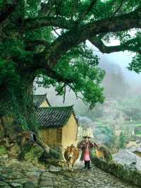 麗水·松陽～江南最後嘅秘境