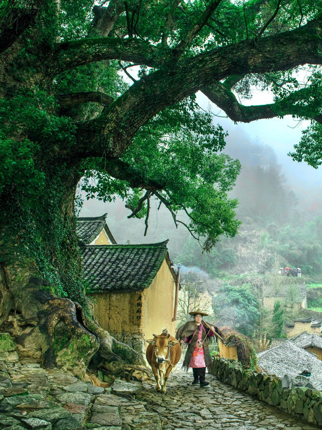 麗水·松陽～江南最後嘅秘境