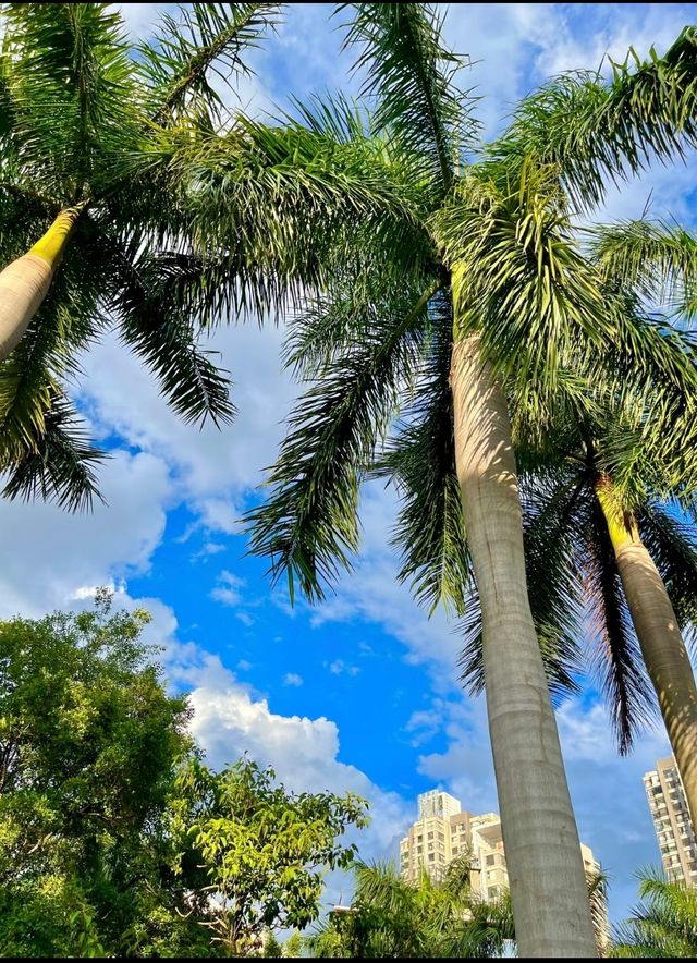比起大理～我更鍾意呢個夏天20度嘅雲南小城