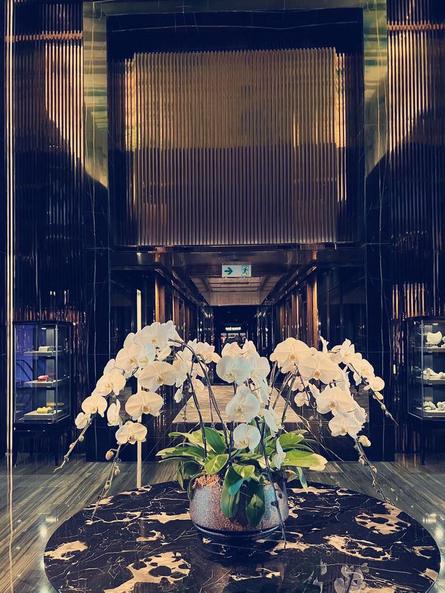 香港麗思卡爾頓酒店，开启奇幻親子之旅