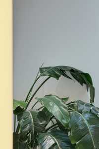 洱海畔嘅純白小屋，每一幀都係藝術品