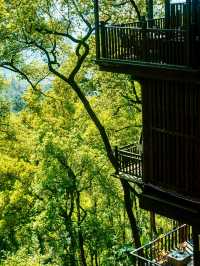 🌸 SPRING SECRET: Chongqing’s "90% DOWNHILL" Flower Path (Zero Sweat Guaranteed!)