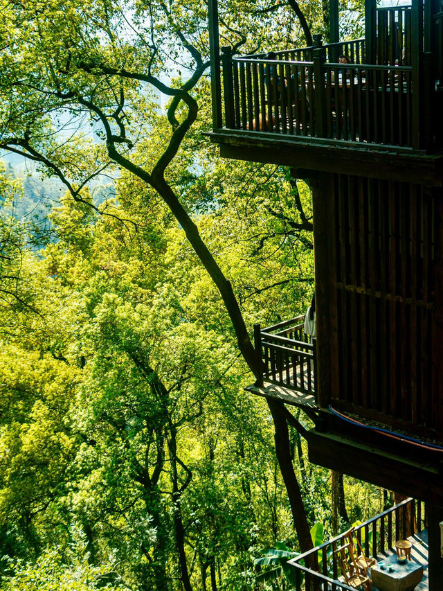 🌸 SPRING SECRET: Chongqing’s "90% DOWNHILL" Flower Path (Zero Sweat Guaranteed!)