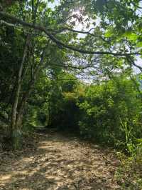 馬巒山碧嶺瀑布步道徒步