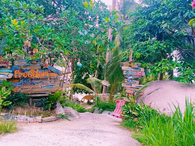 No Crowds, No Problem: Ao Hin Wong's Backpacker Dive Scene