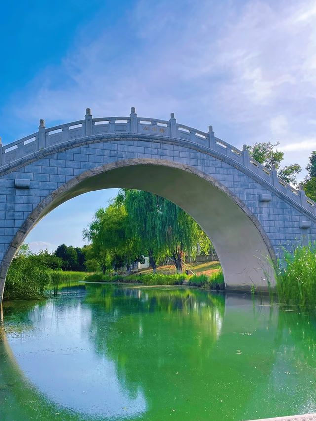 住進太湖嘅春天，邂逅蘇州太湖藍菱花酒店