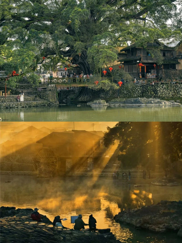 來漳州清涼一「夏」！這些夏季清涼地別錯過