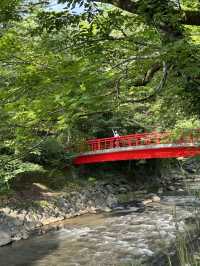 修善寺嘅新井旅館令浸溫泉睇螢火蟲變得輕鬆愜意