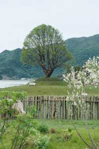 住進風景裡！麗江呢間民宿令我唔想返屋企！