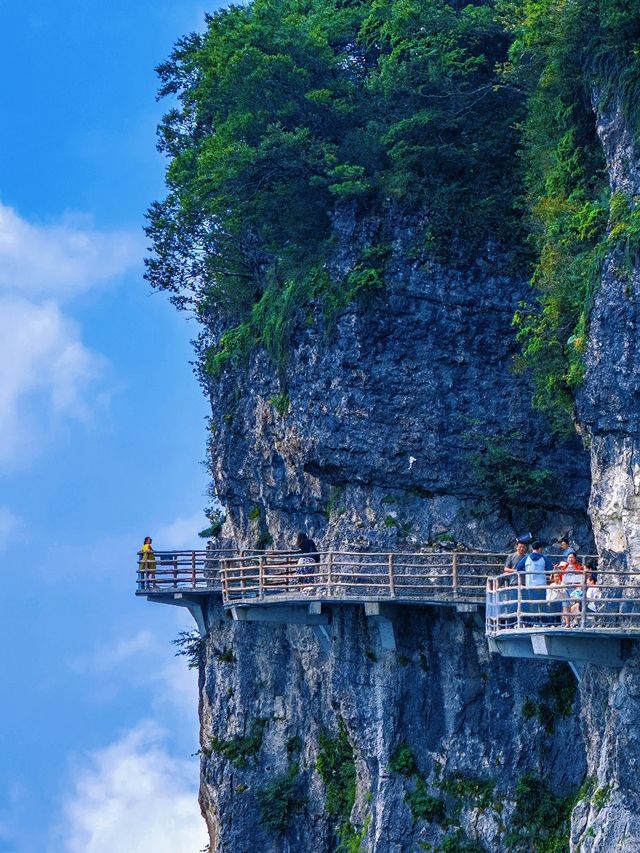 衝入雲端懸崖！這處90°垂直秘境藏著地球心跳