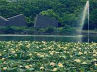 大阪隱世綠洲！市立長居植物園療癒一日遊全記錄】**  