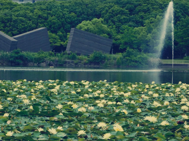 大阪隱世綠洲！市立長居植物園療癒一日遊全記錄】**  