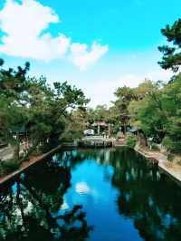 大阪秘境！住吉大社：千年神域的潮濕浪漫】**  