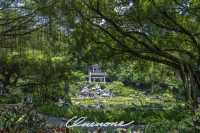 南寧青秀山攻略（2025年夏季版）