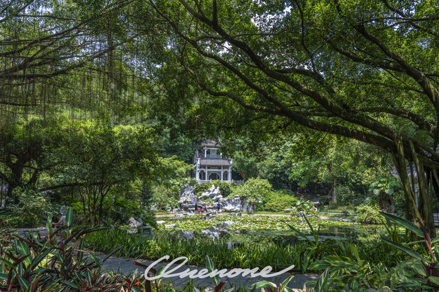 南寧青秀山攻略（2025年夏季版）