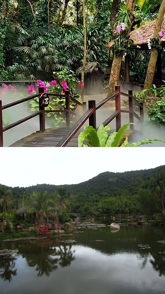 夢幻谷暴雨後異變溪流倒流成鏡面，照出你前世族民裝束！