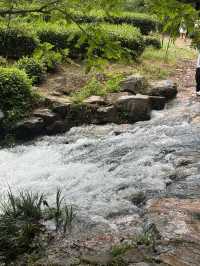 杭州九溪徒步｜喺小溪同茶園治癒系吸氧