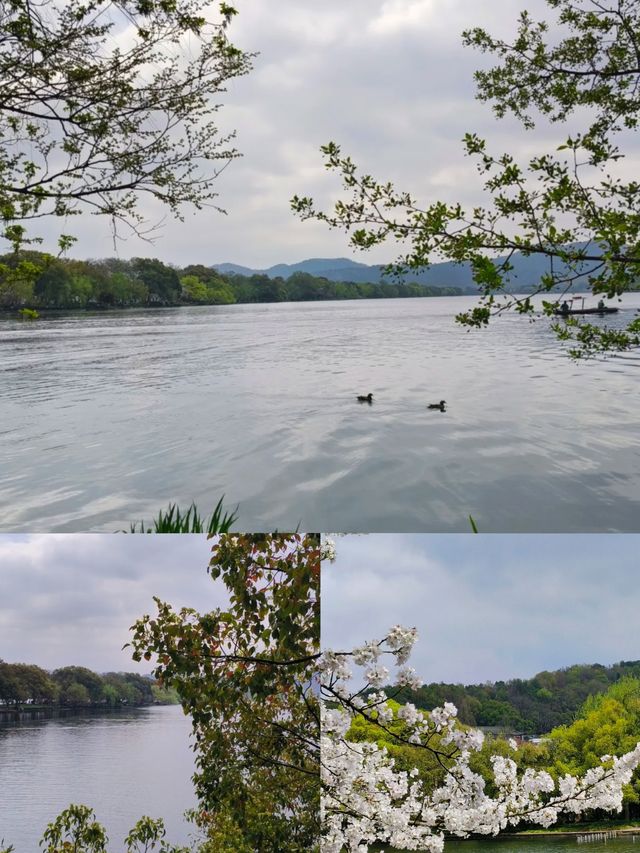 一定要嚟杭州！西湖煙雨中，展開浪漫之旅~