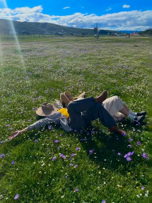不是瑞士！是川西18°C的夏天！