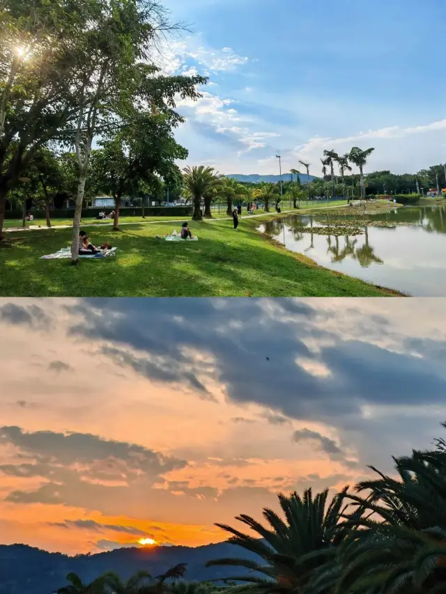 Yunnan's Hidden LA! A Treasure Town to See the Sea of Flowers