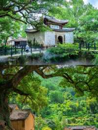 《國家地理》認證的江南秘境！松陽後畲村
