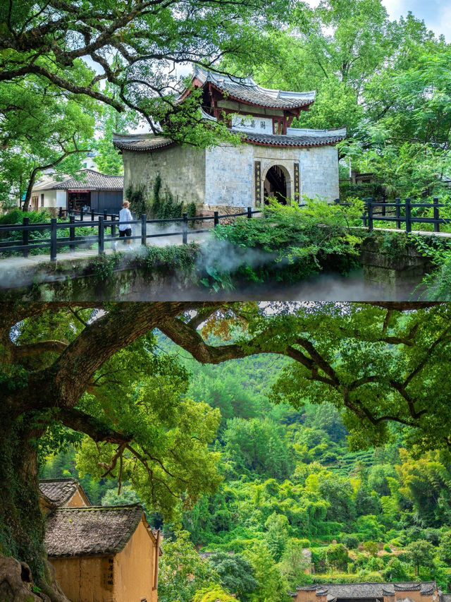 《國家地理》認證的江南秘境！松陽後畲村