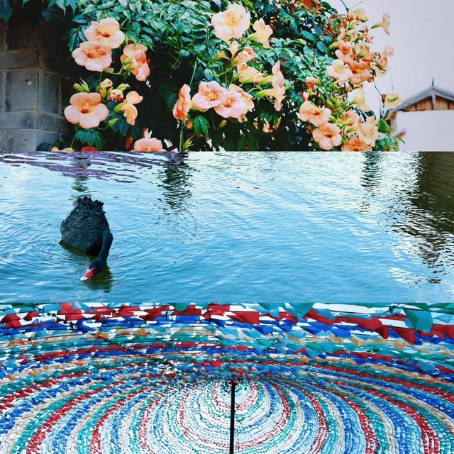 雲南超讚自然風景線