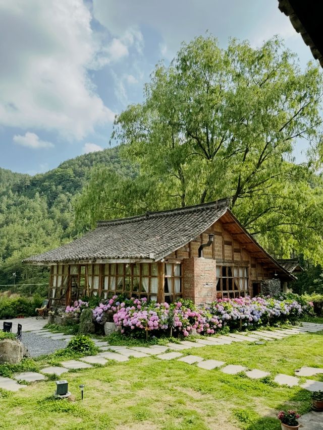 這間童話小屋太絕了！帶上狗狗來曾家山避暑吧～