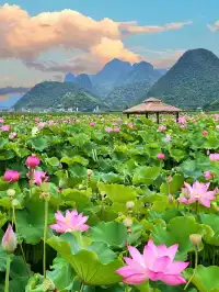 雲南現狀｜暑假人不多的寶藏小眾城市