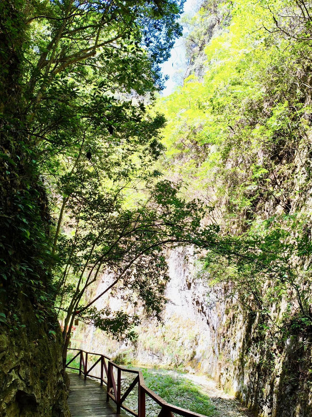 峽谷風骨——中壩大峽谷的壯闊回響 峽谷風骨——中壩大峽谷的壯闊回響
