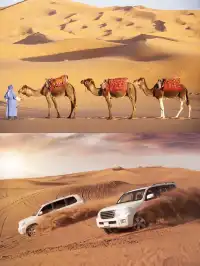 阿聯酋全境包車遊|迪拜阿布扎比攻略