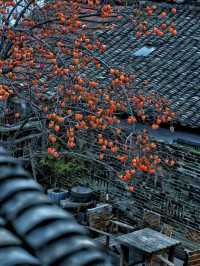 中式建築近景感受  