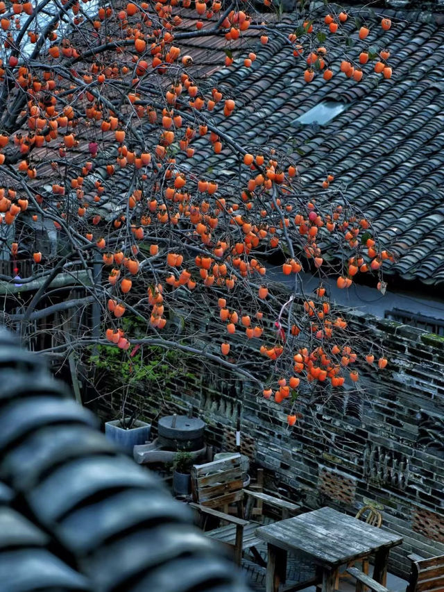 中式建築近景感受  