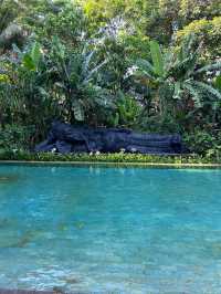 Ultimate Holiday Experience at Andaz