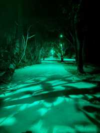 Incredible Stay at Siyam World