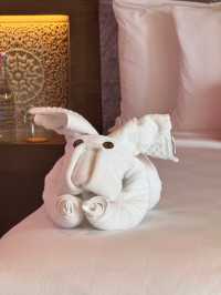 Impressive Resort Amenities and Activities