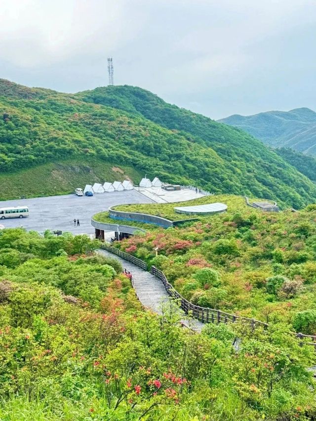 大圍山2天避暑攻略