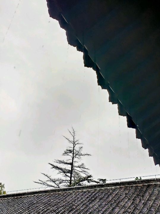山東曲阜深度遊人文探索📸