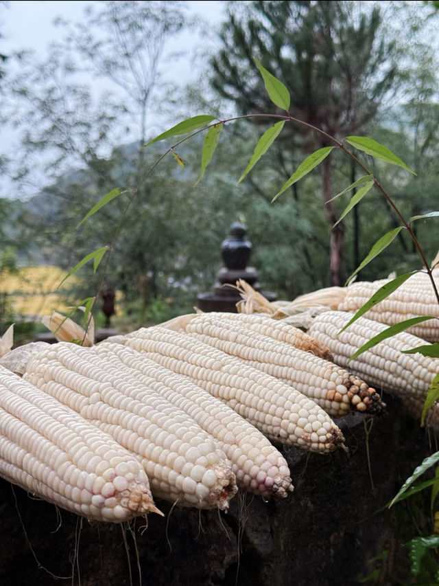 秋浸南泥灣丨墜入色彩斑斕的油畫世界