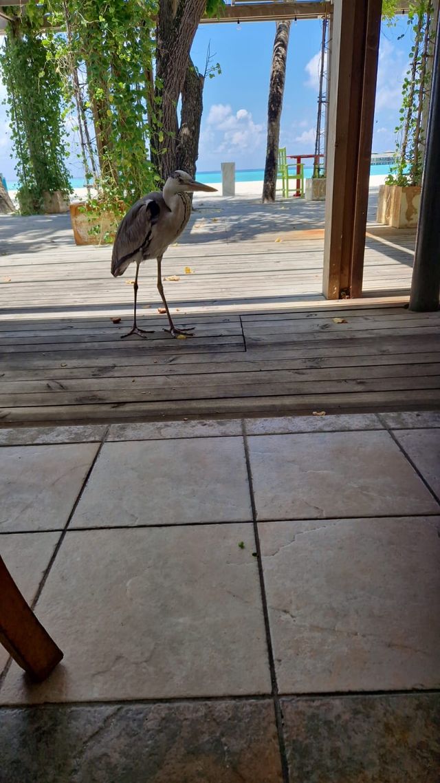 Great Location, Excellent Staff, Slightly Limited Amenities