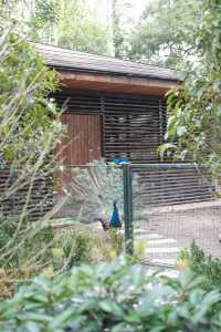 錯峰逛動物園太有感覺了