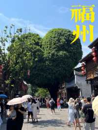 福州這是一座很舒服的城市