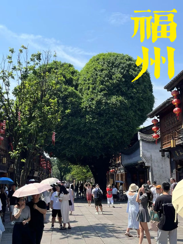 福州這是一座很舒服的城市