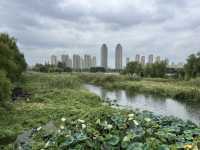 東沙湖生態公園