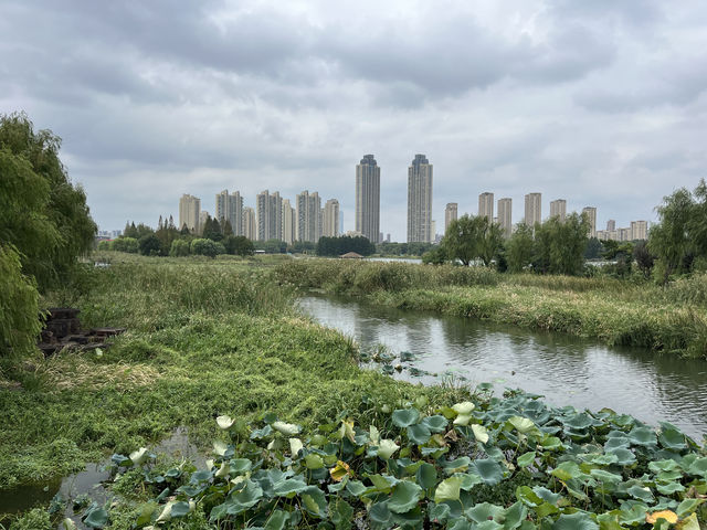 東沙湖生態公園