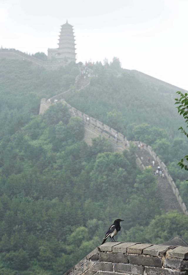 穿越千年雄關·雁門關深度遊玩攻略 |