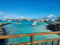 Exceptional Service and Stunning Views