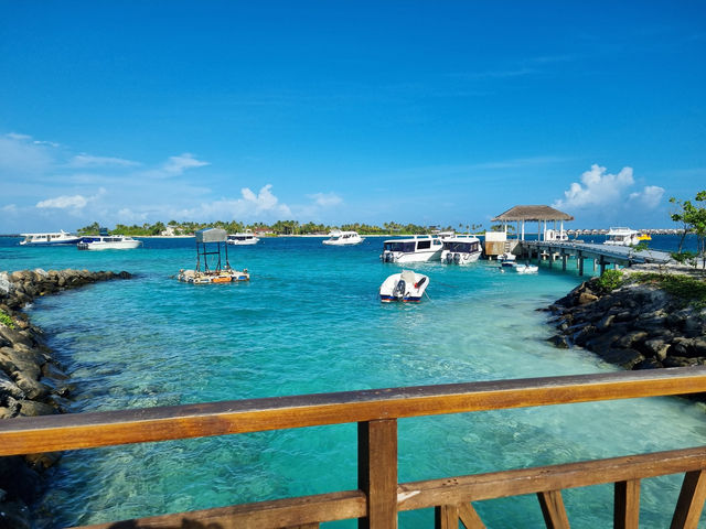 Exceptional Service and Stunning Views