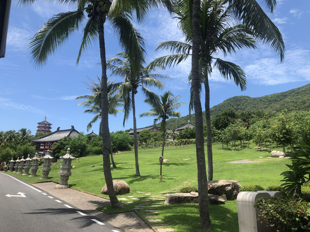 椰林海景拍攝聖地